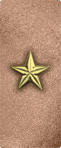 Star Gold-Bronze
